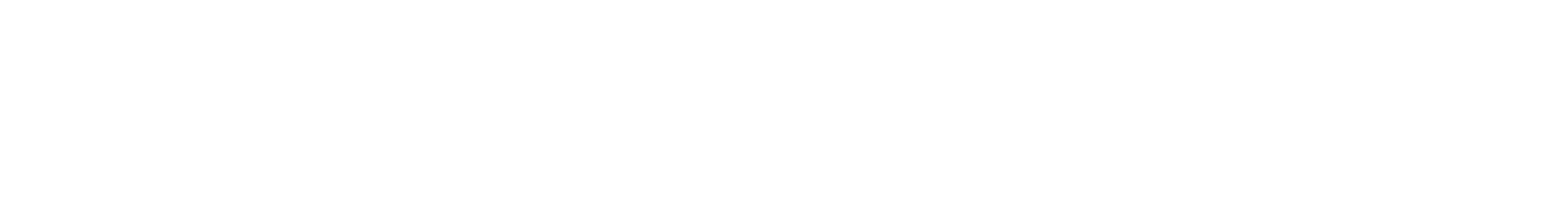 Logo Valex, a SIP company